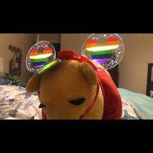 Disney Rainbow light up ears